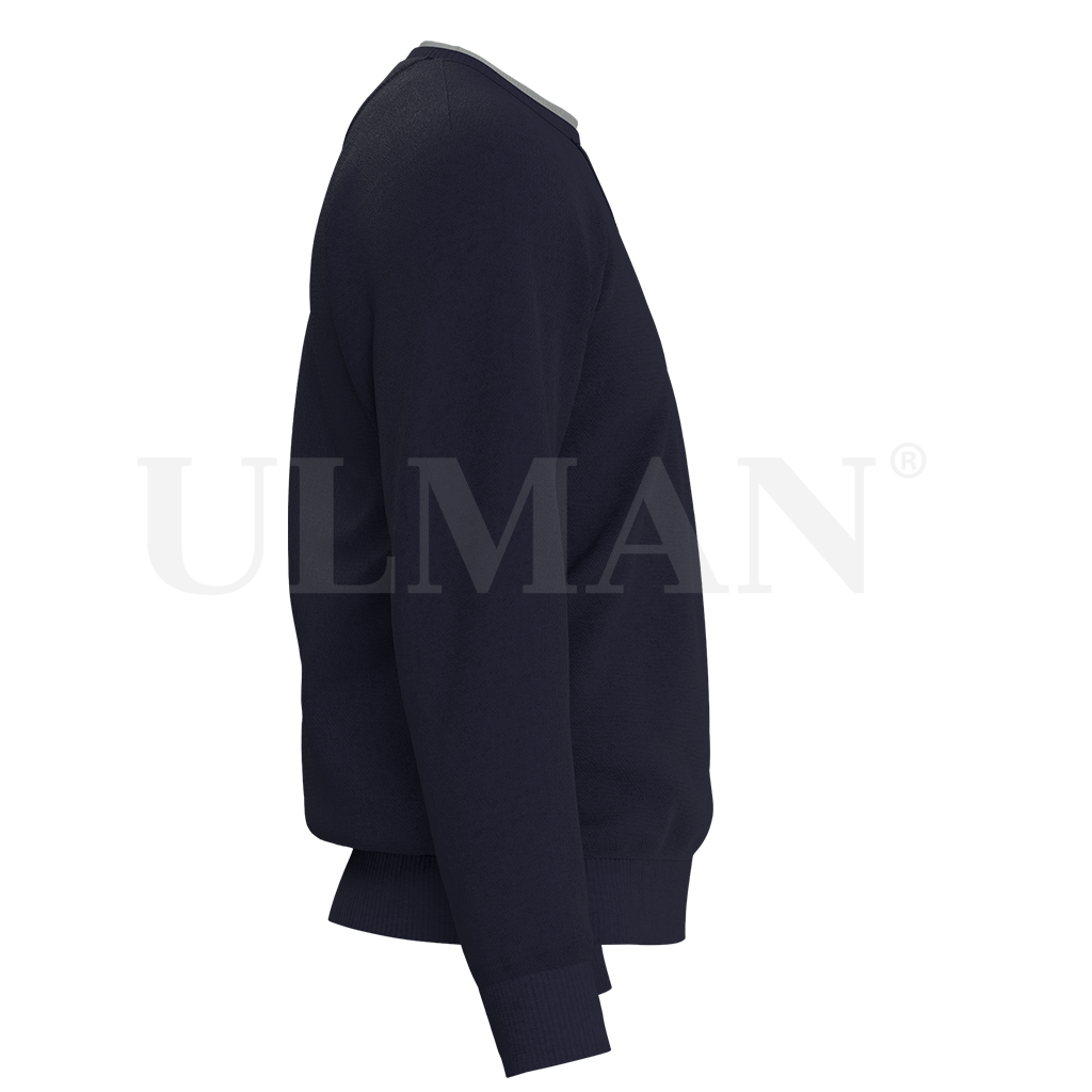 Polera Virgen de la Asunción